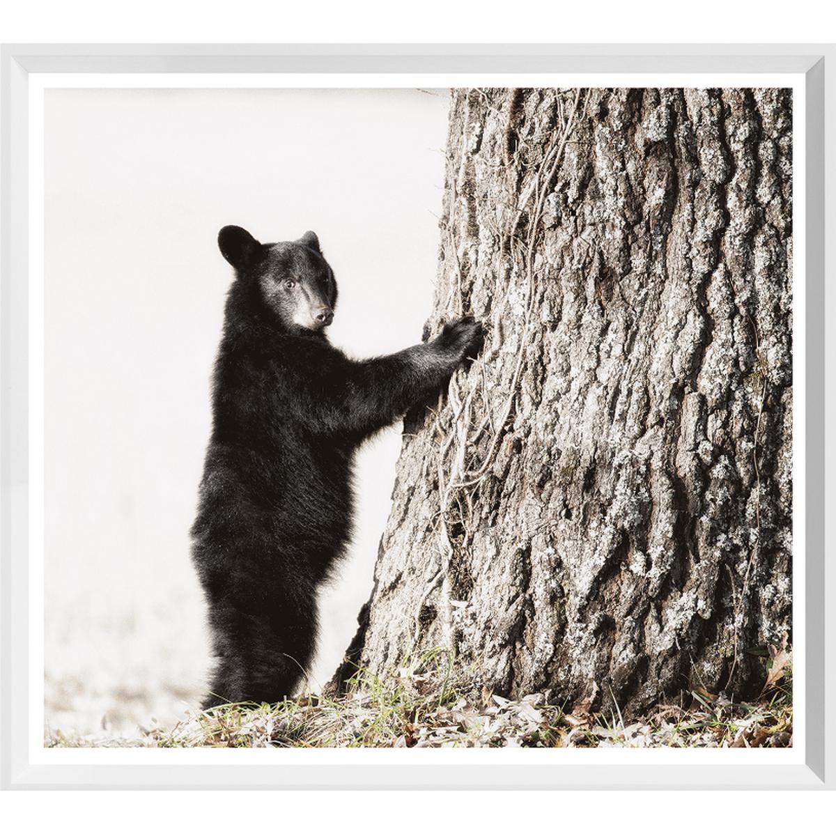 Smokey Mountain Cub Art - White Frame | Large