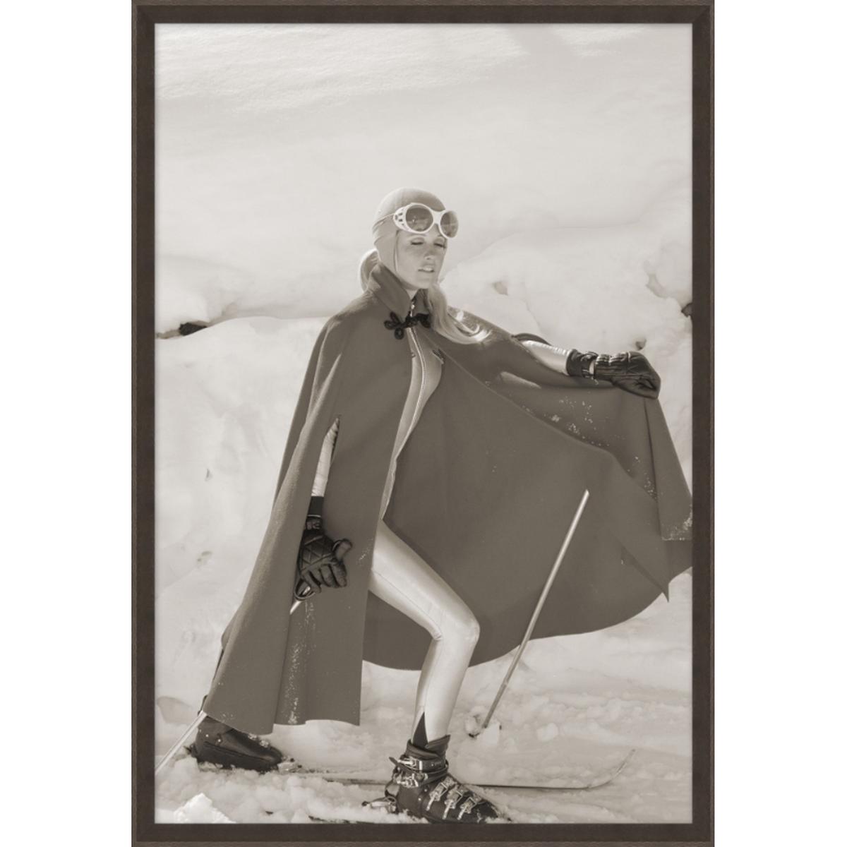 Stylish Skier