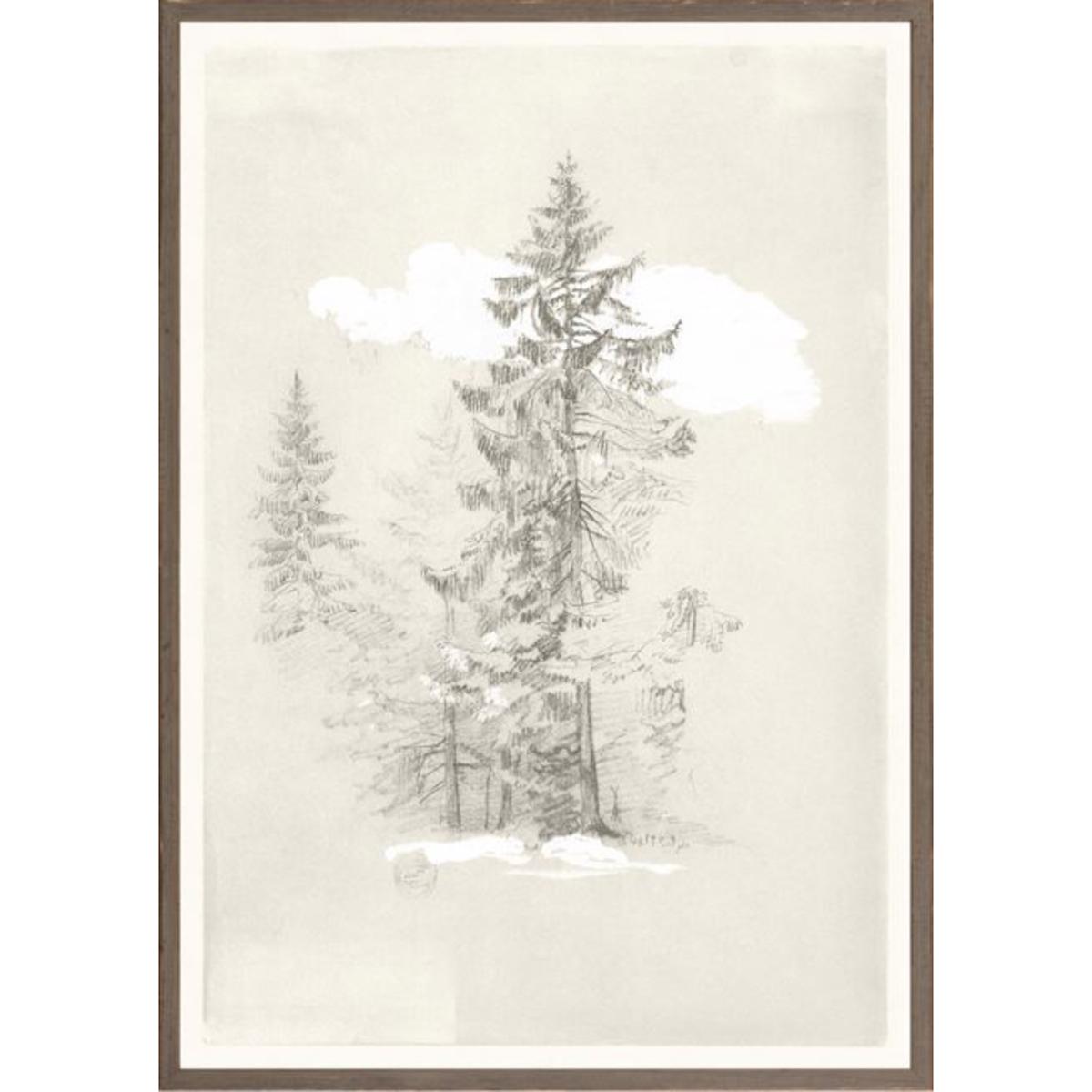 Tree Drawing Artwork