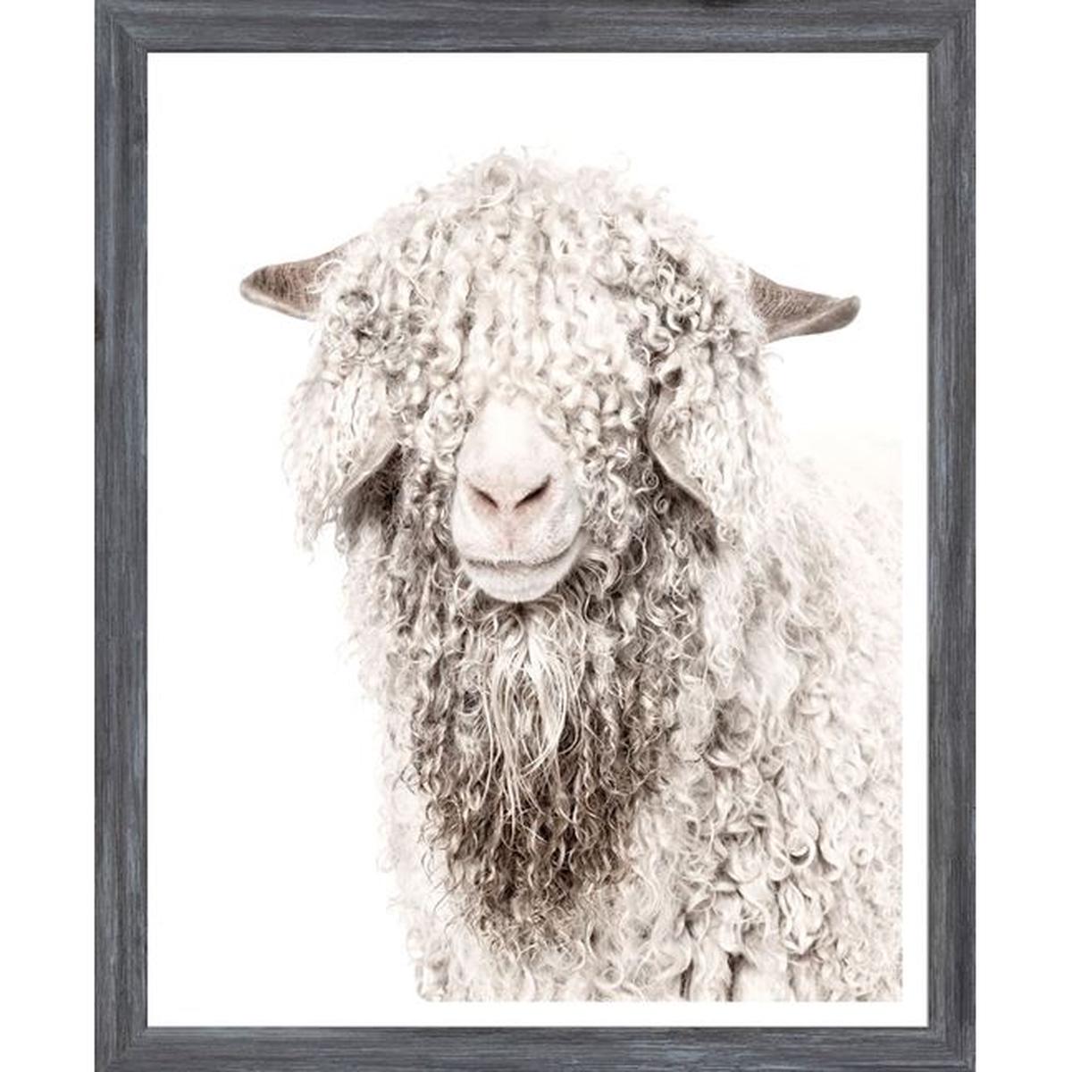 Angora Goat - Grey | Mini