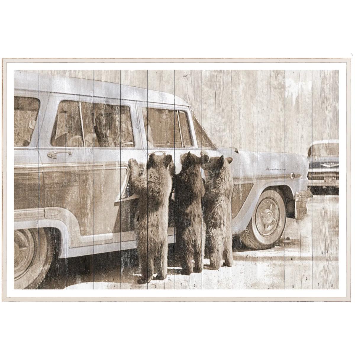 Bears in Yellowstone C. 1950 - Small