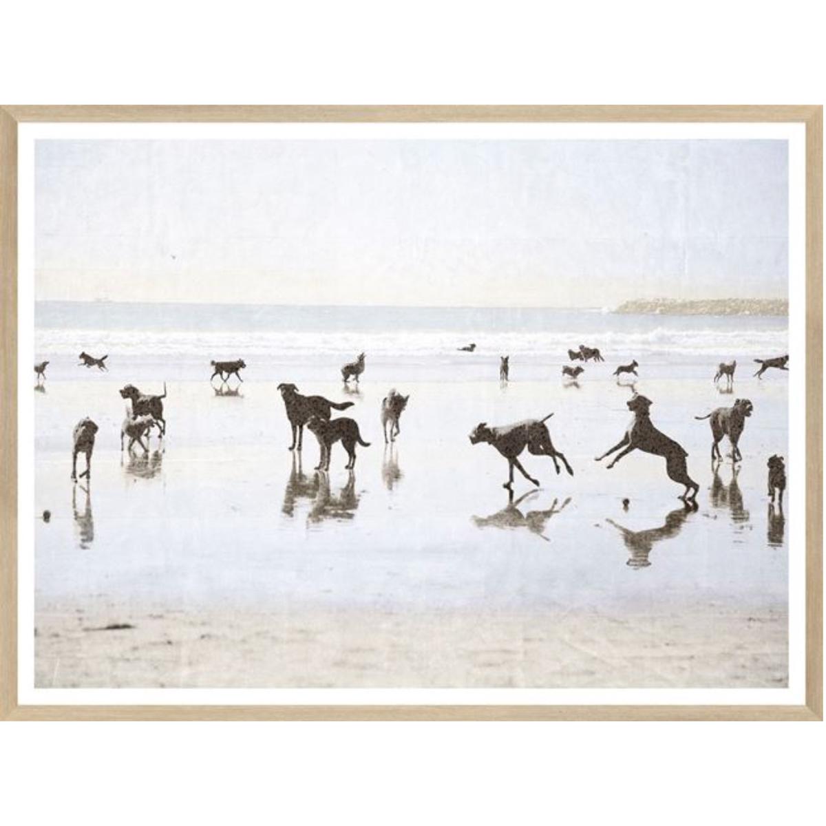 Dogs Day At The Beach - Large