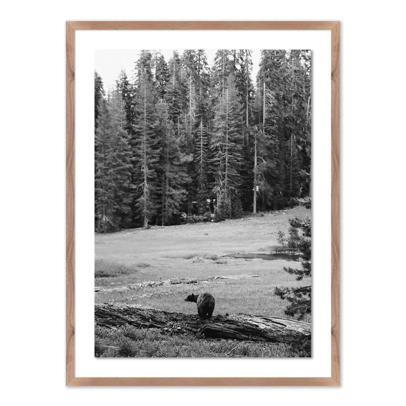 Don't Feed The Bears w/Rustic Walnut Frame