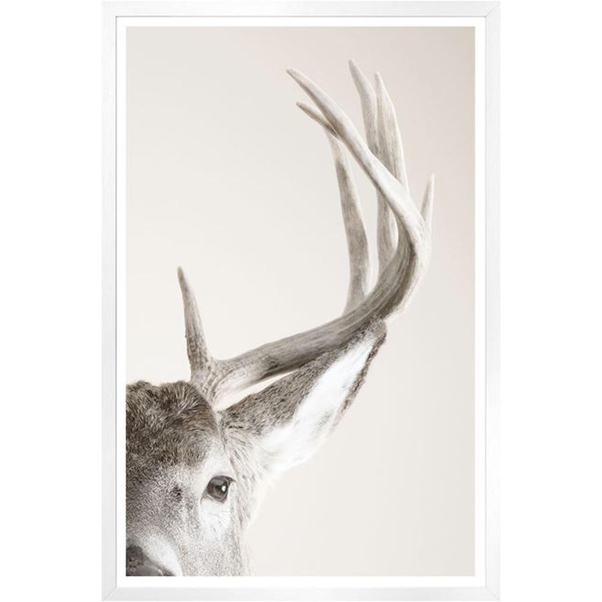 Focused Regard - Grey | Mini