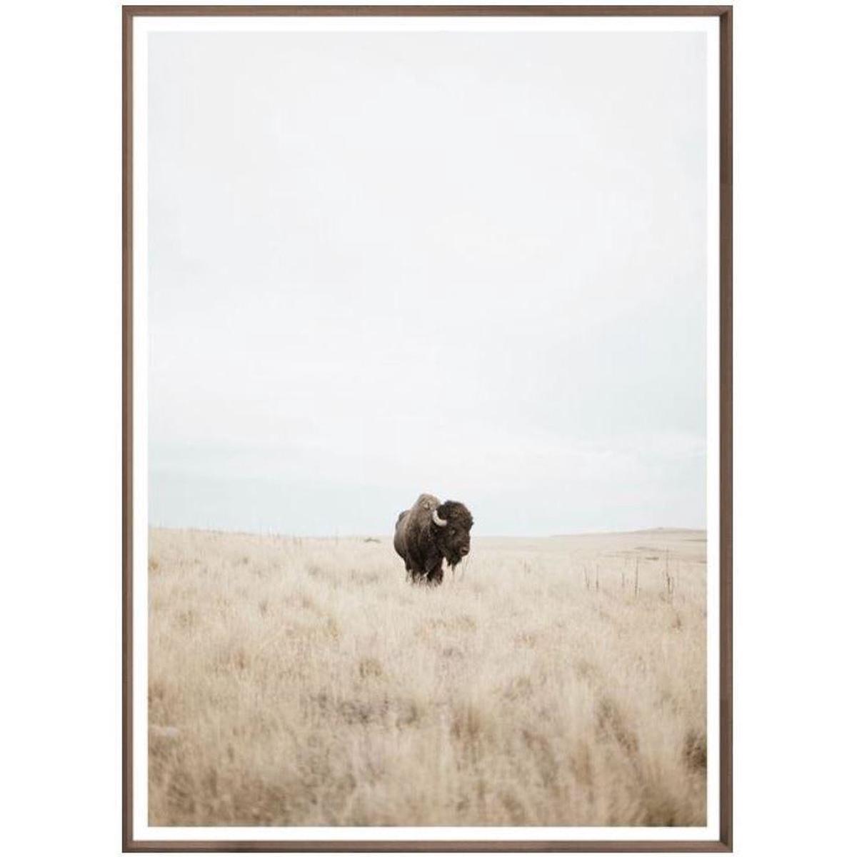 Great Plains Denizen - Grey | Large