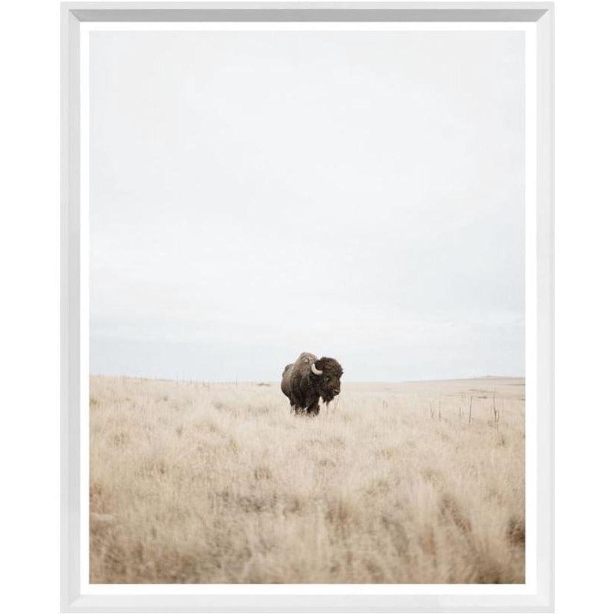 Great Plains Denizen - White | Mini