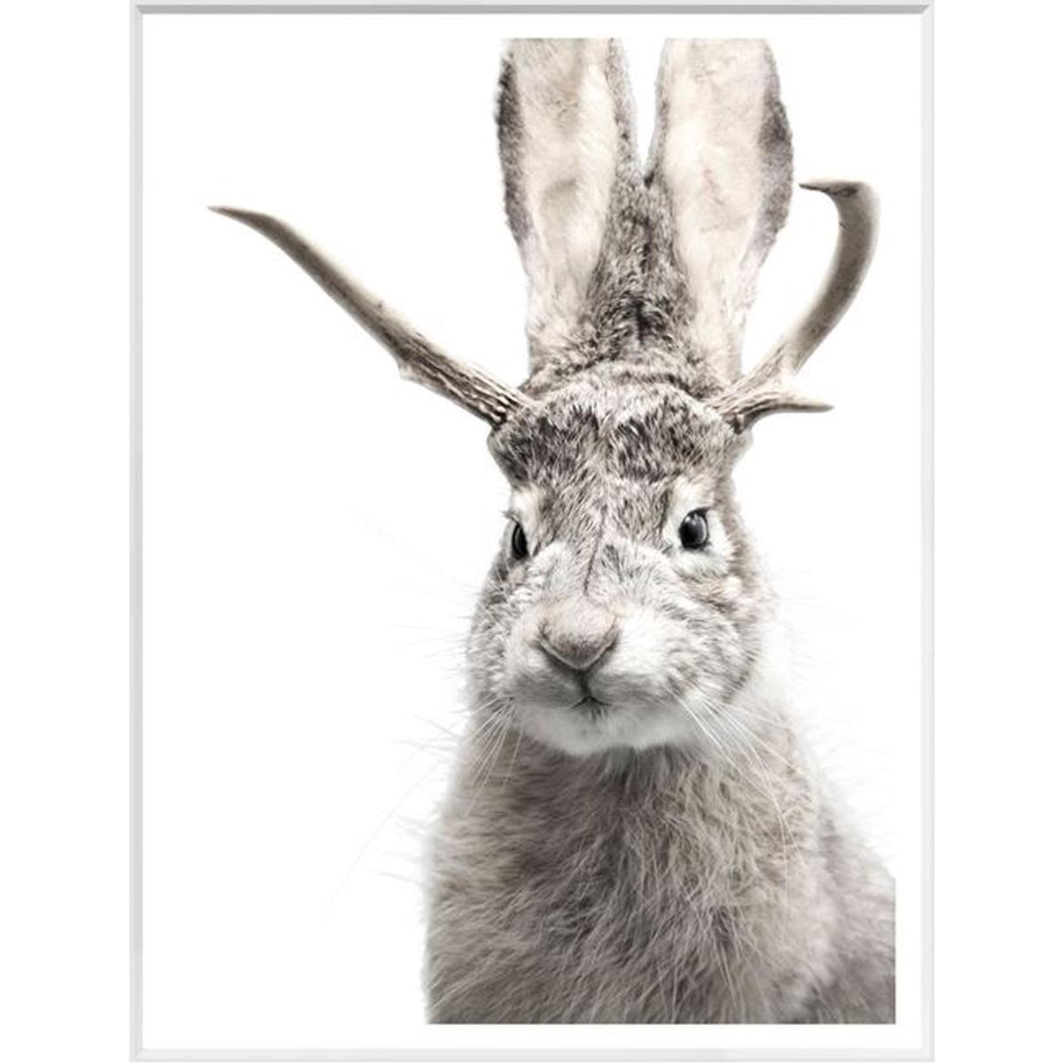 Jackalope - White | Mini