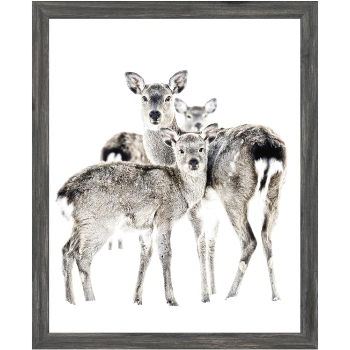 Maternal Vigil - Grey | Mini