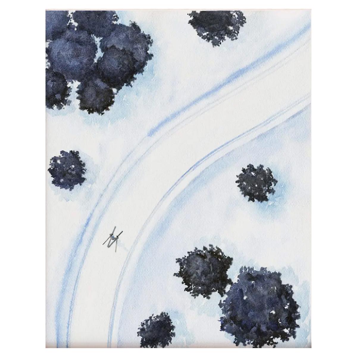 Silent Glide Watercolour Print - Unframed