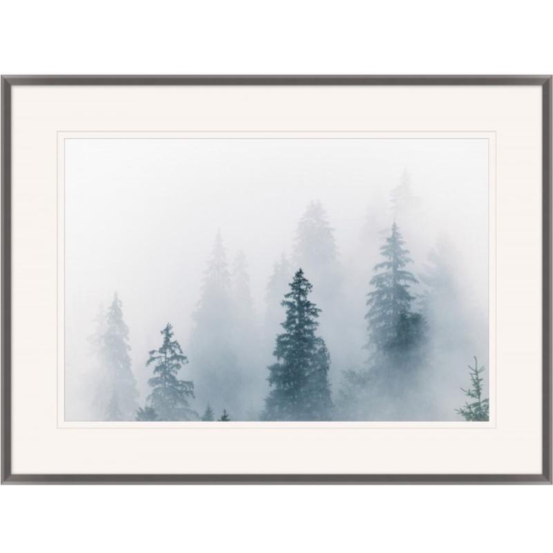 Trees In the Fog IIII