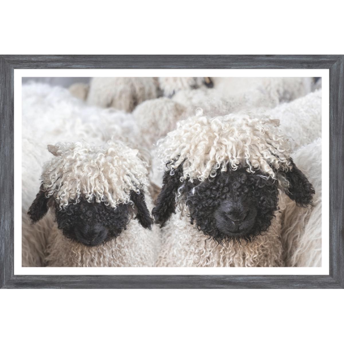 Valais Blacknose Sheep Art - Grey Frame | Small