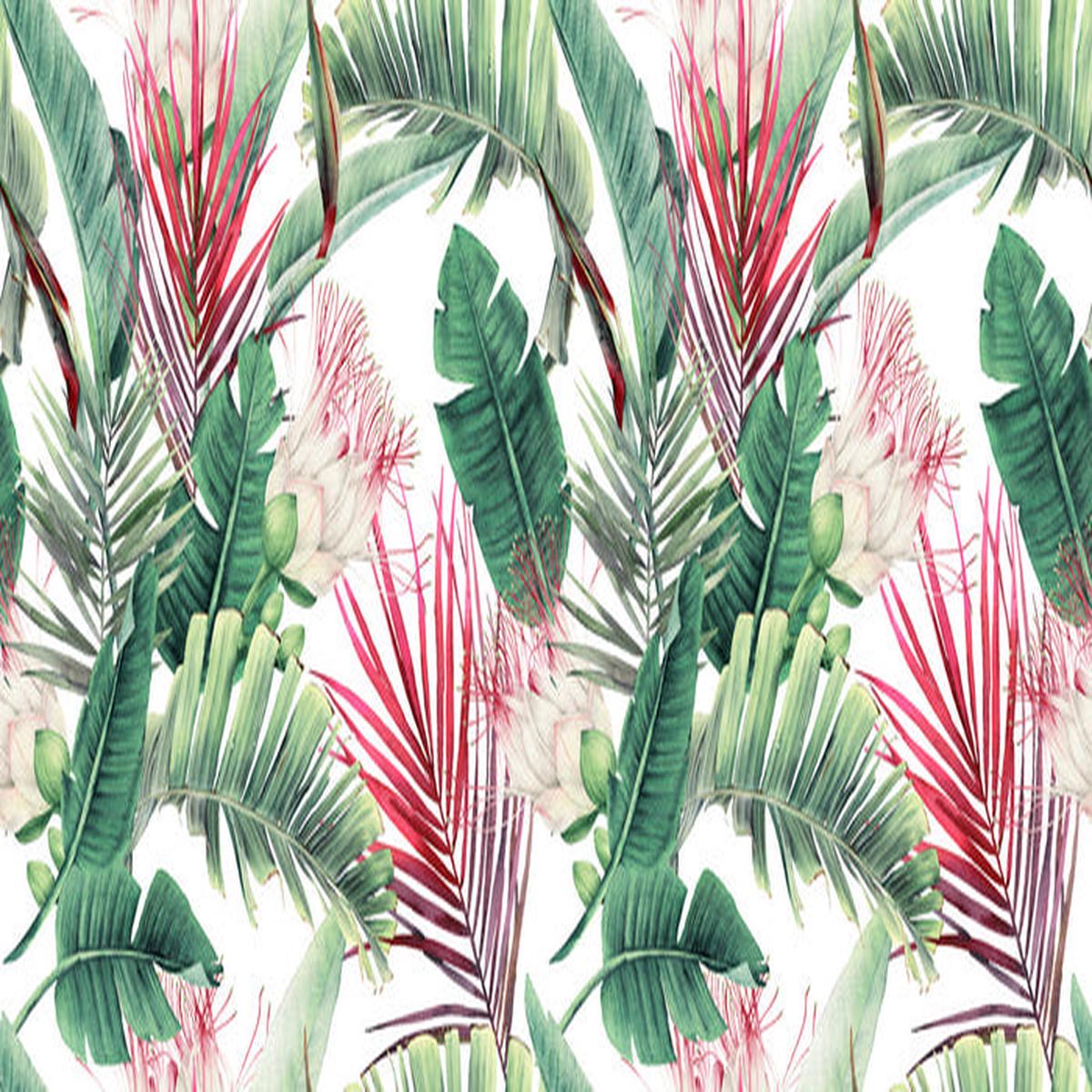 Fuchsia foliage