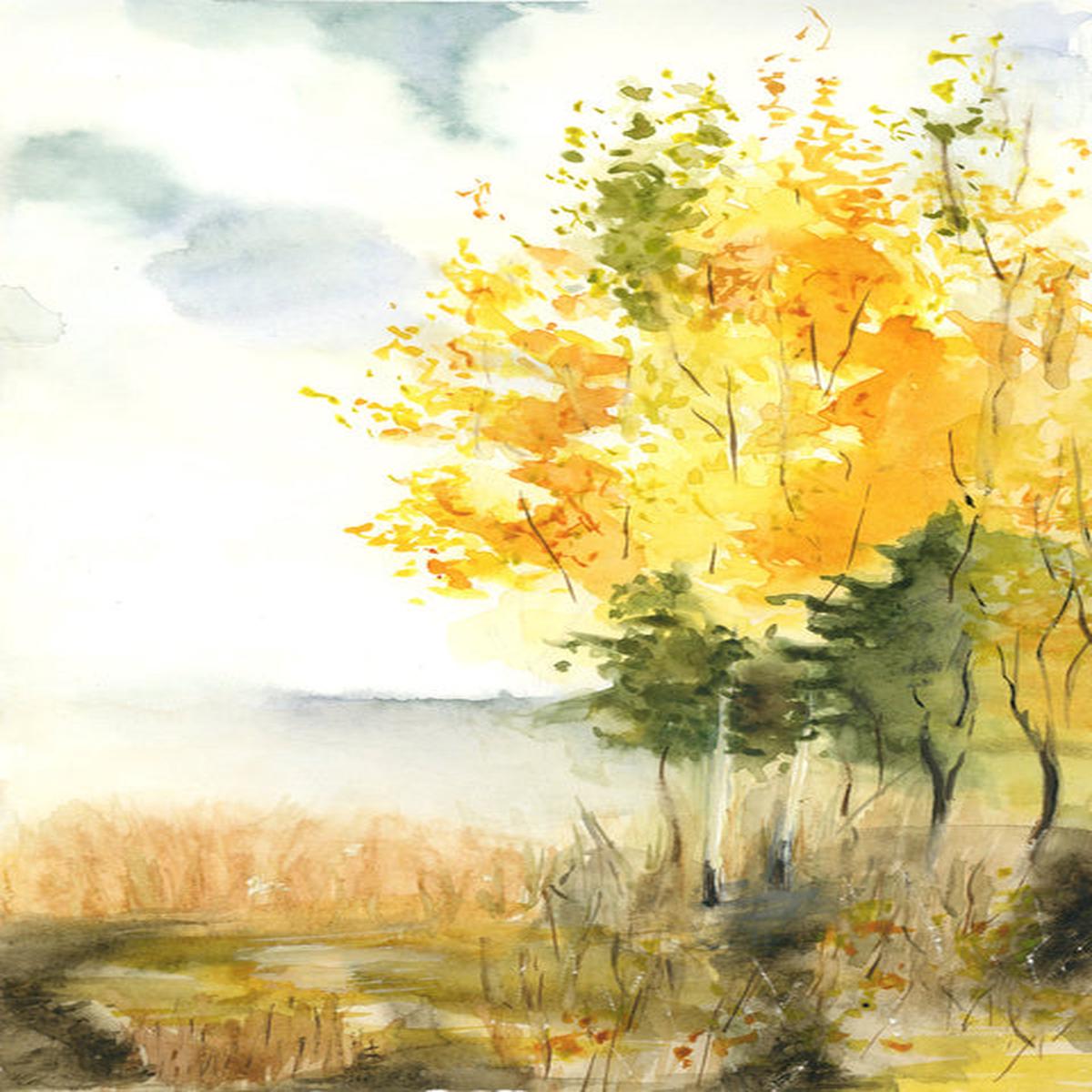Golden birch leaves
