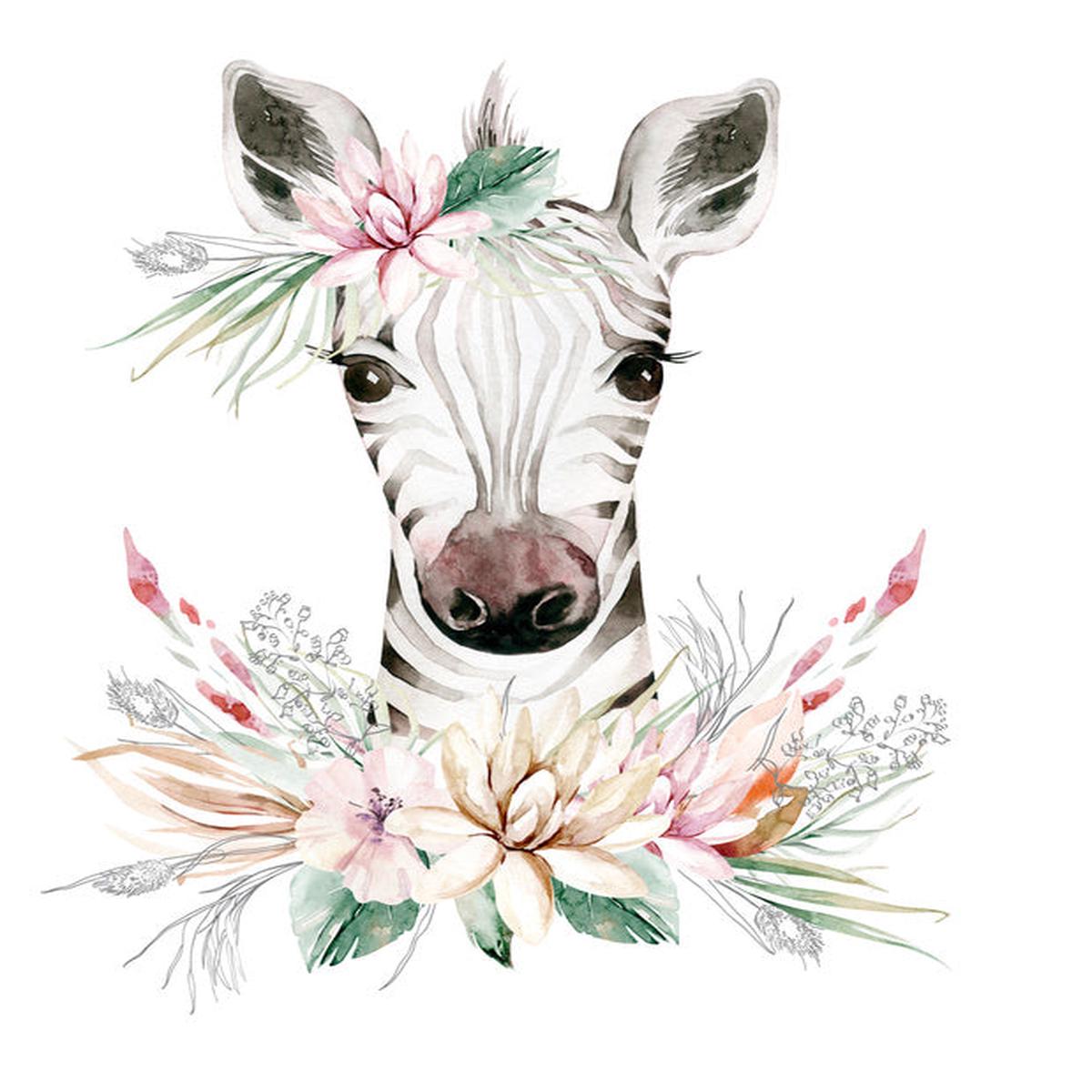 Little leafy zebra