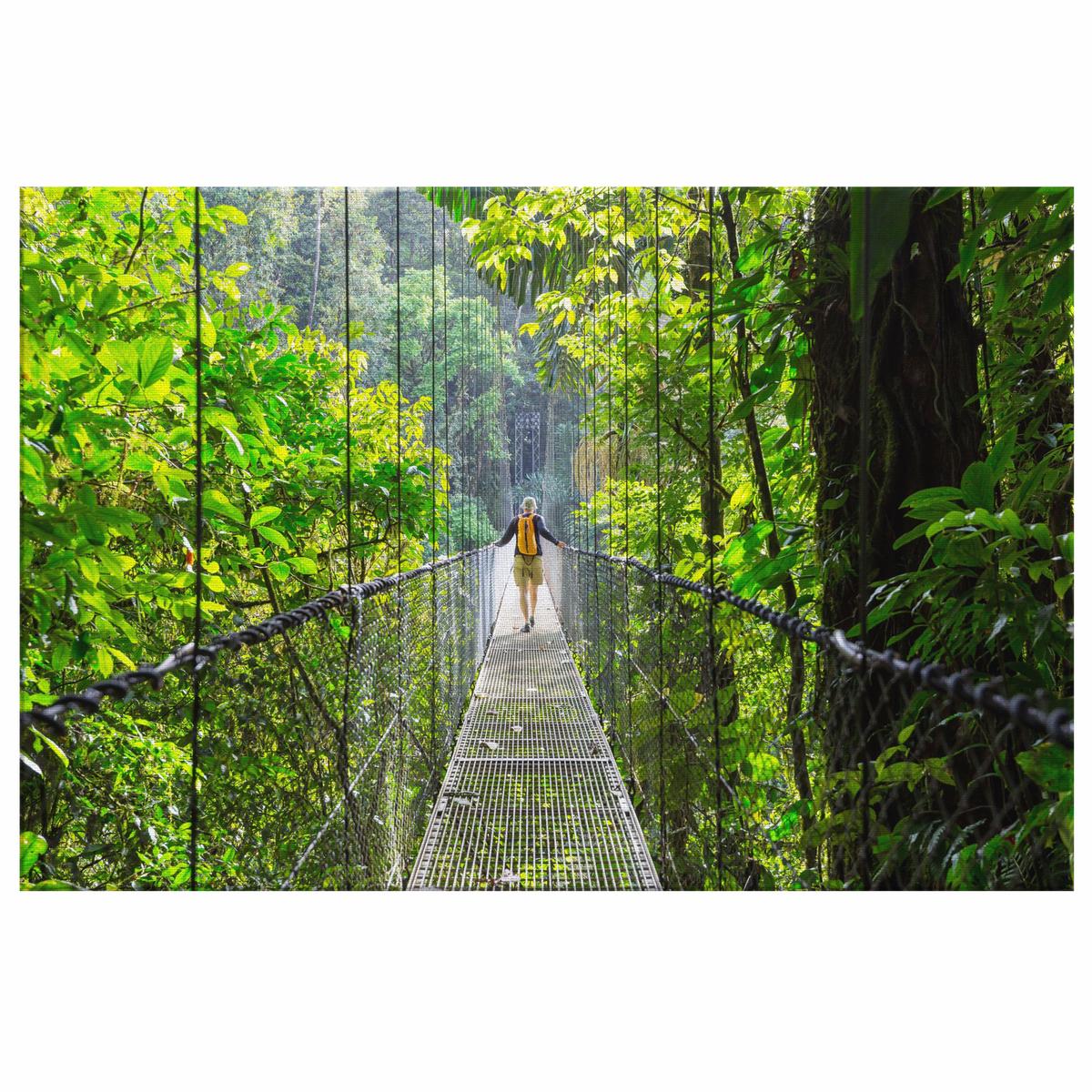 Monteverde Rainforest Bridge Costa Rica Canvas Wall Art