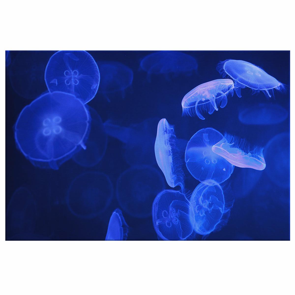 Blue Jellyfish Canvas Wall Art