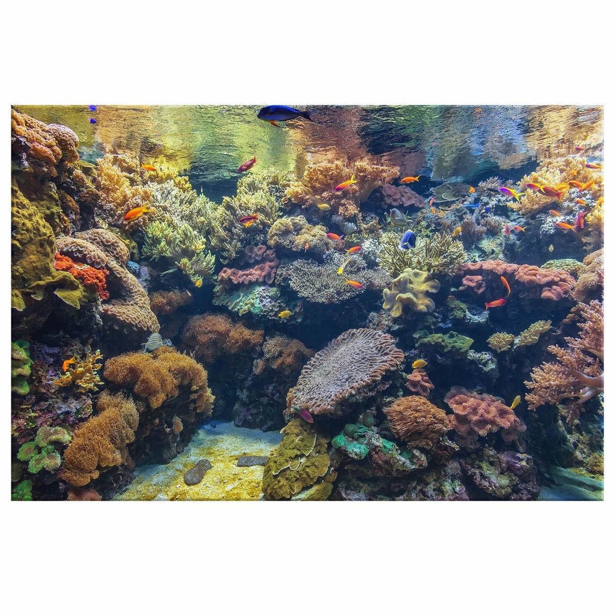 Relaxing Tropical Fish Aquarium Canvas Wall Art