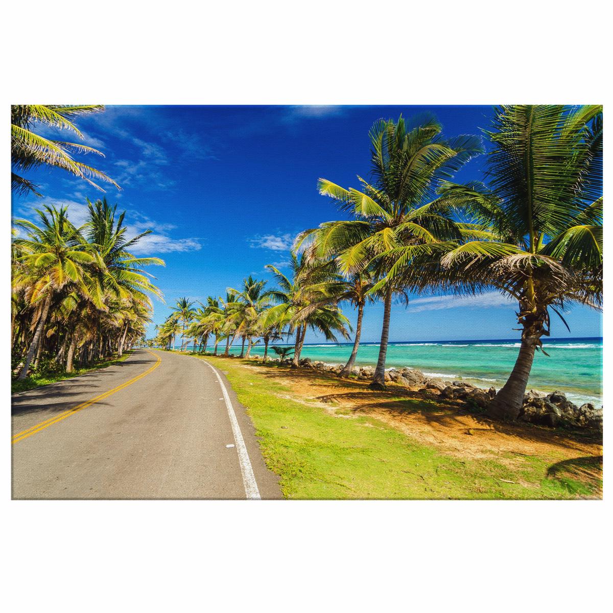 Road To San Anderes Colombia Canvas Wall Art