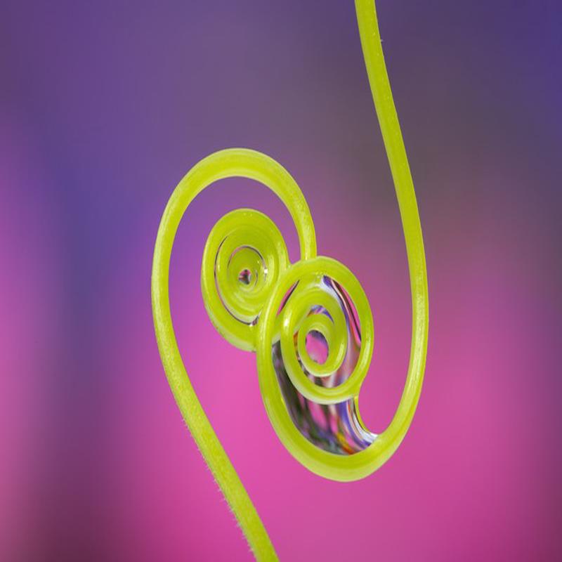 Touching tendrils