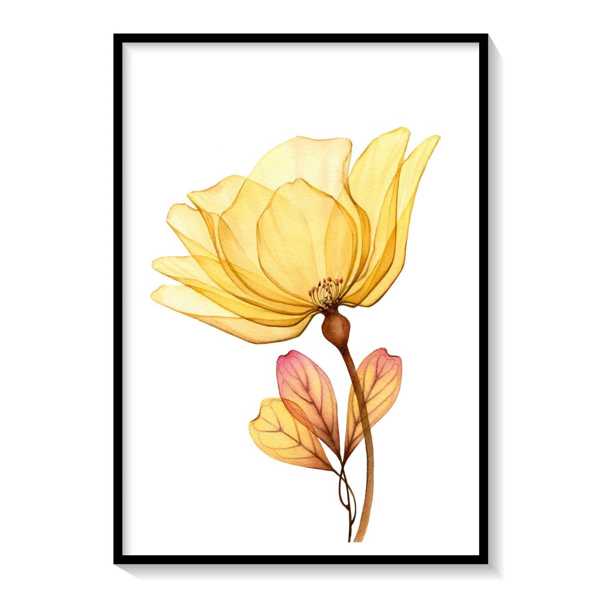 X-ray yellow rose, Botanical Flower Paintings