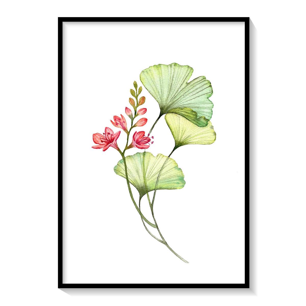 X-Ray Watercolor Poppy Pink Art 3, Botanical Flower Paintings
