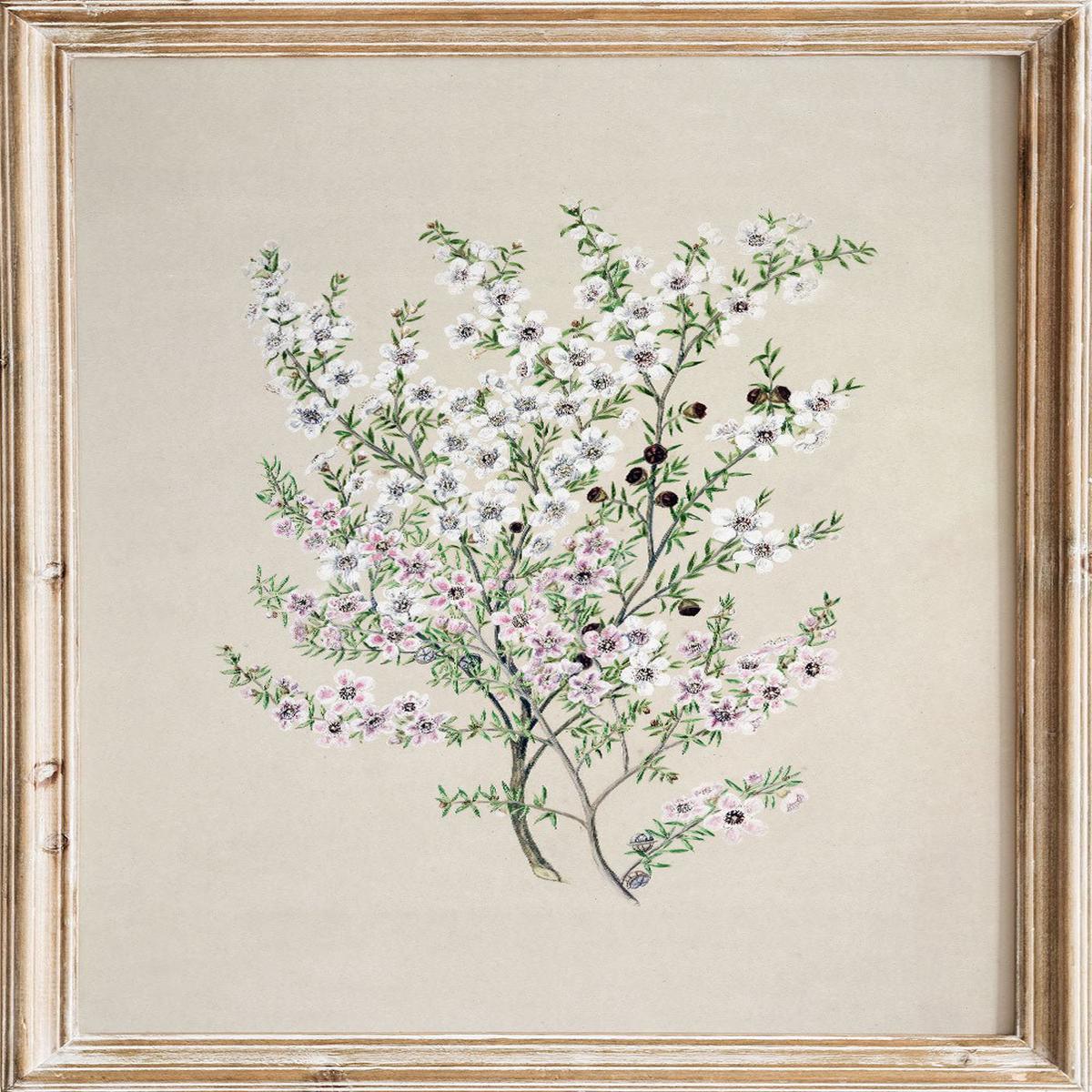 "Manuka" Art Print
