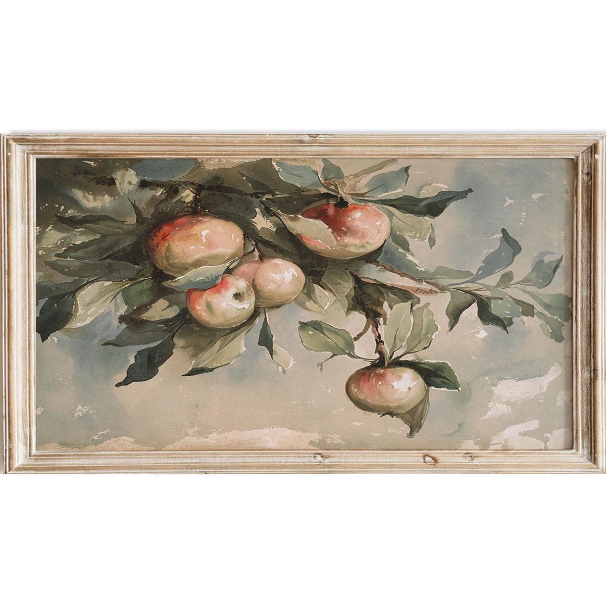 "Study of Apples" Art Print