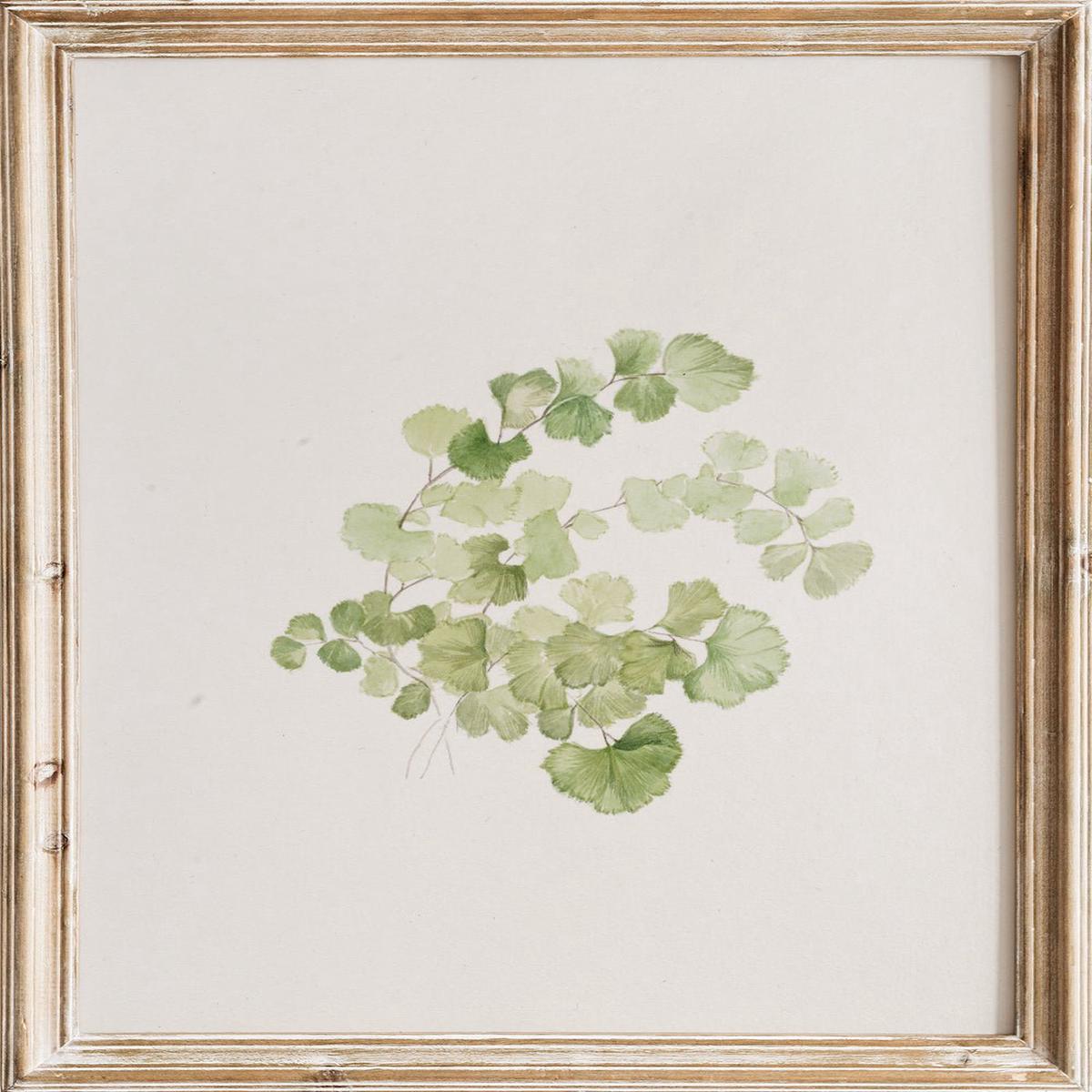 "Puccoon" Art Print