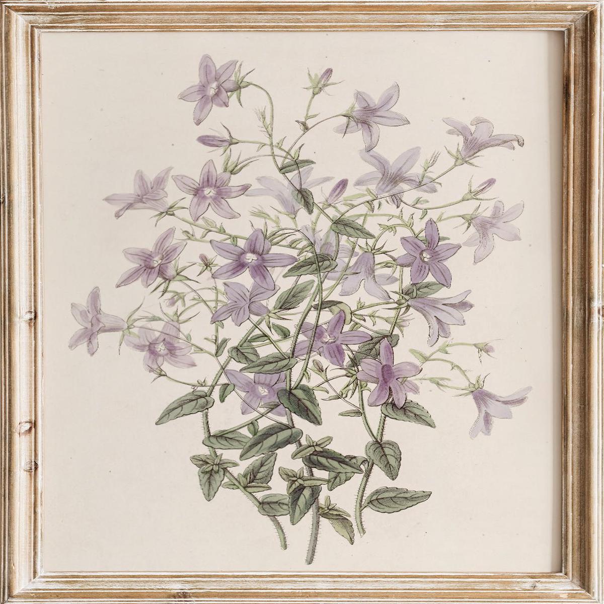 "Laeflings Bellflower" Art Print