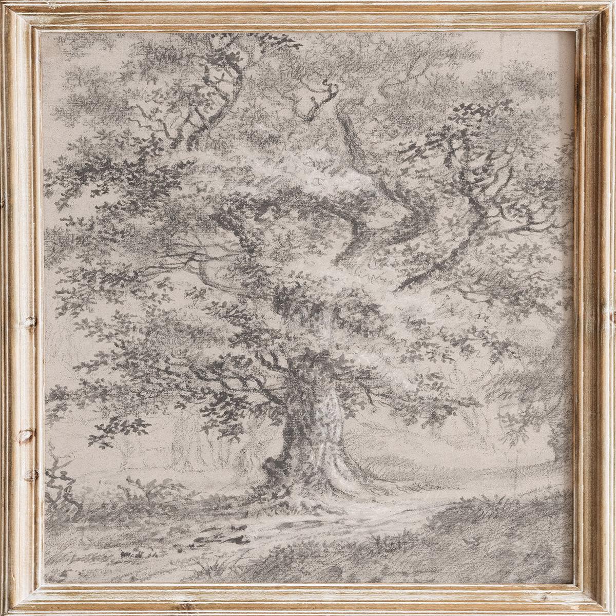 "A Leafy Oak by a Woodland Path" Art Print