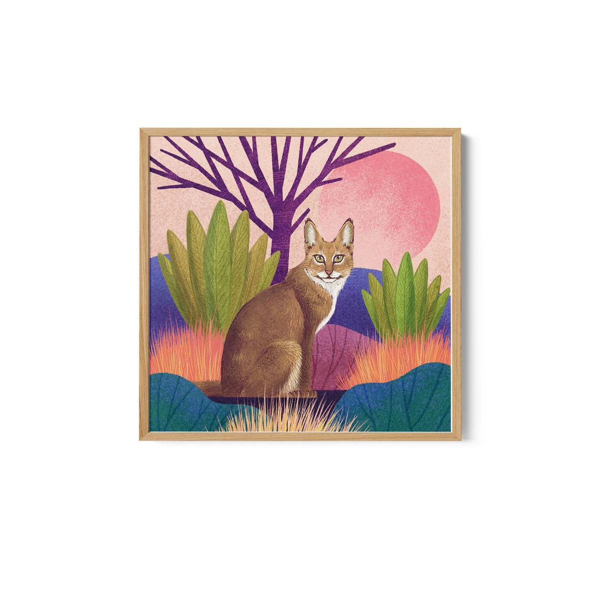 Wild Cat - Jungle Cat