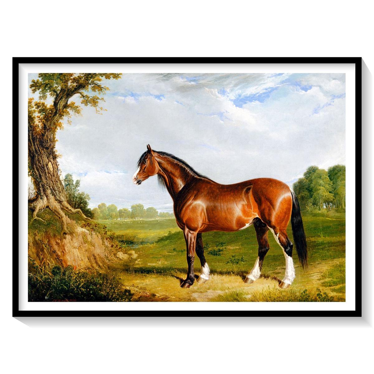 A Clydesdale Stallion by John Herring, Animal Painting