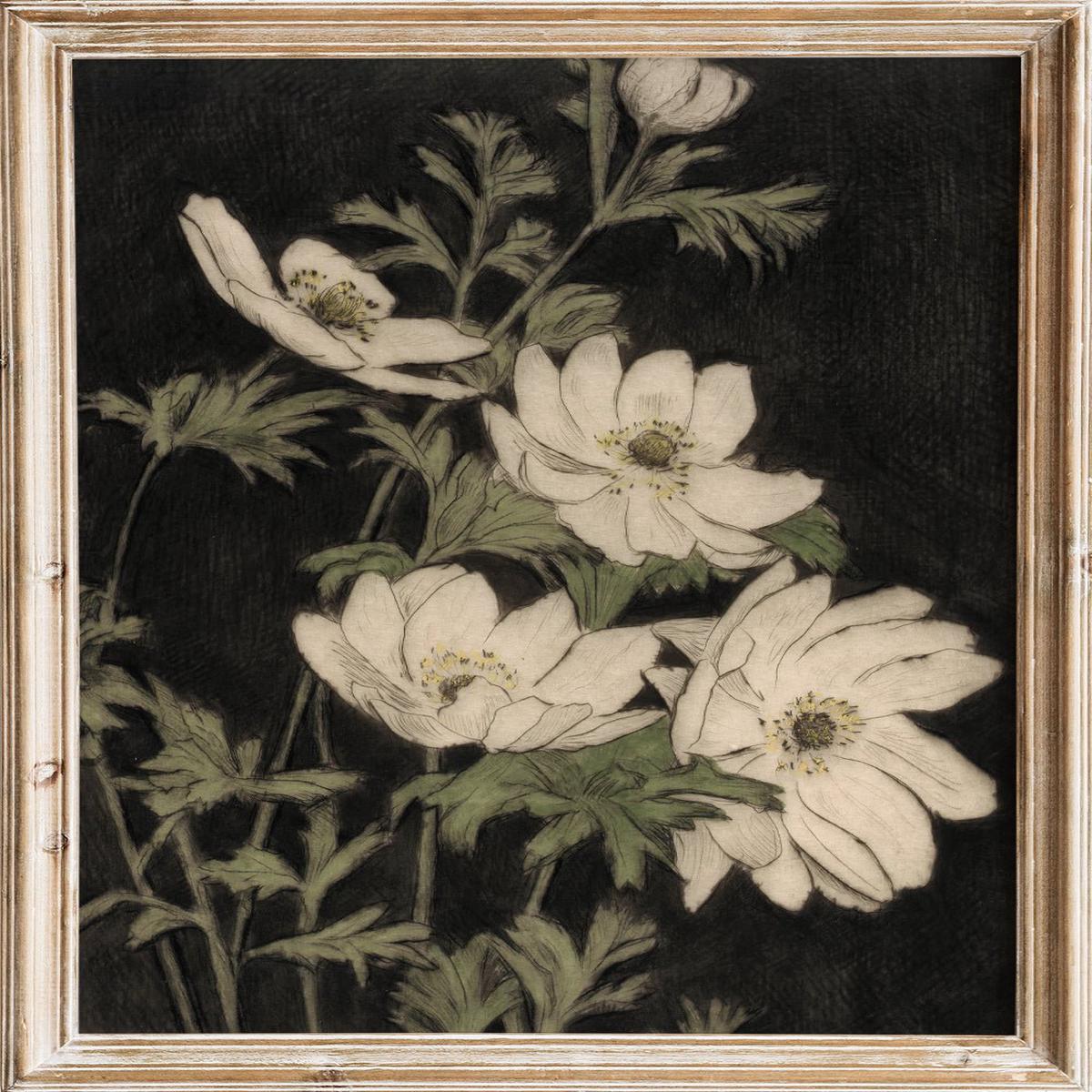 "Anemones" Art Print