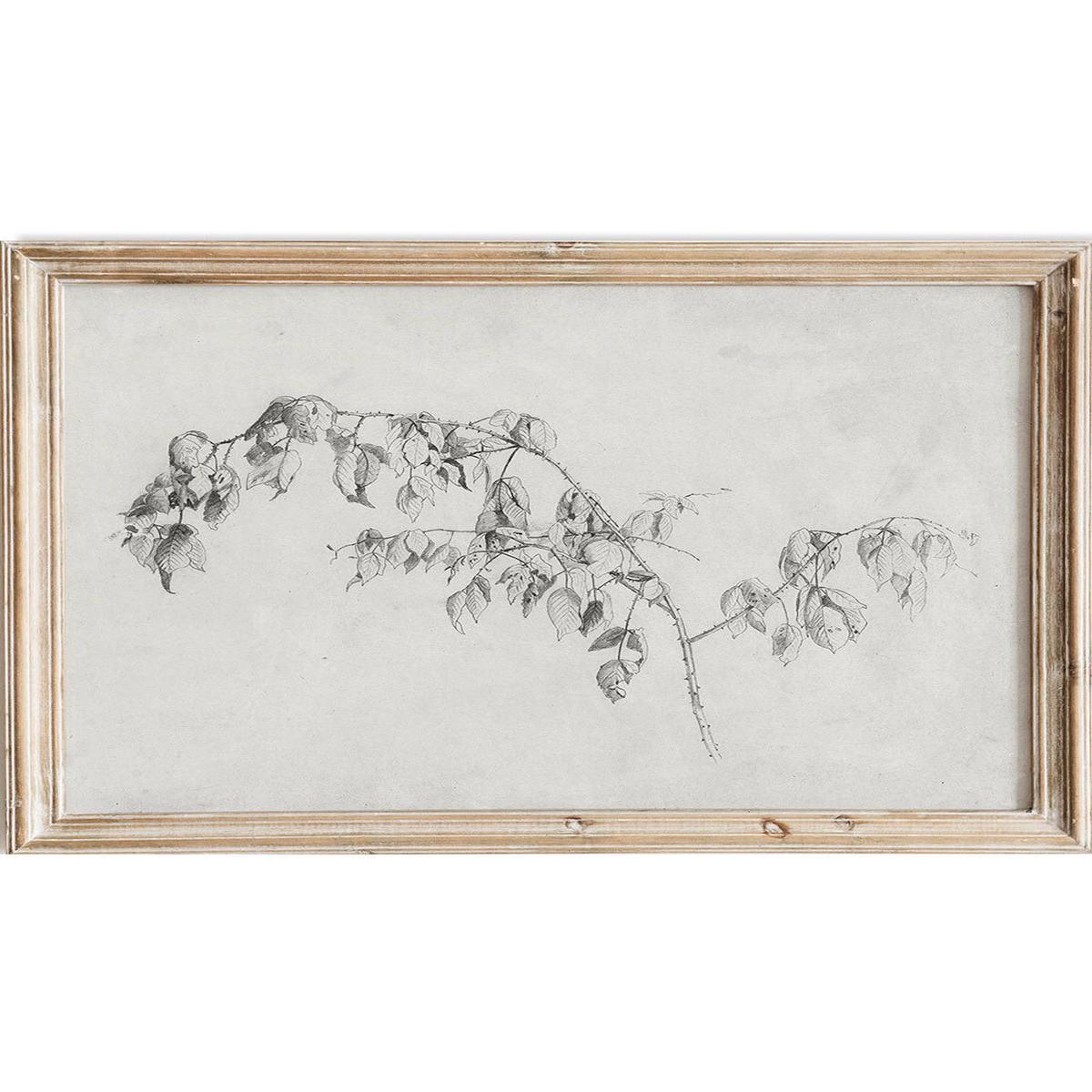"Blackberry" Branch Sketch Art Print