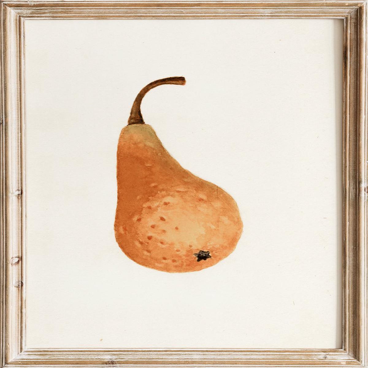 "Bosc Pear" Art Print