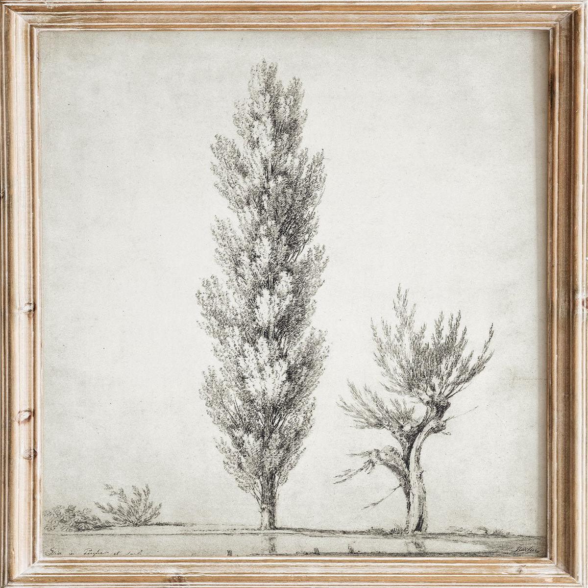 "Landscape with a Poplar and a Willow Tree" Art Print