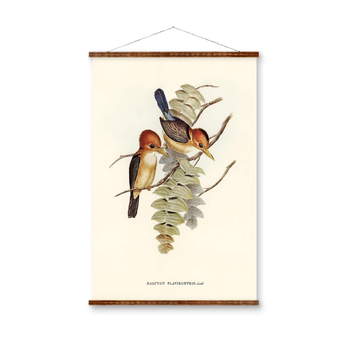 Yellow-Billed Kingfisher Canvas  Vintage Bird Art | Decorative Canvas Scroll