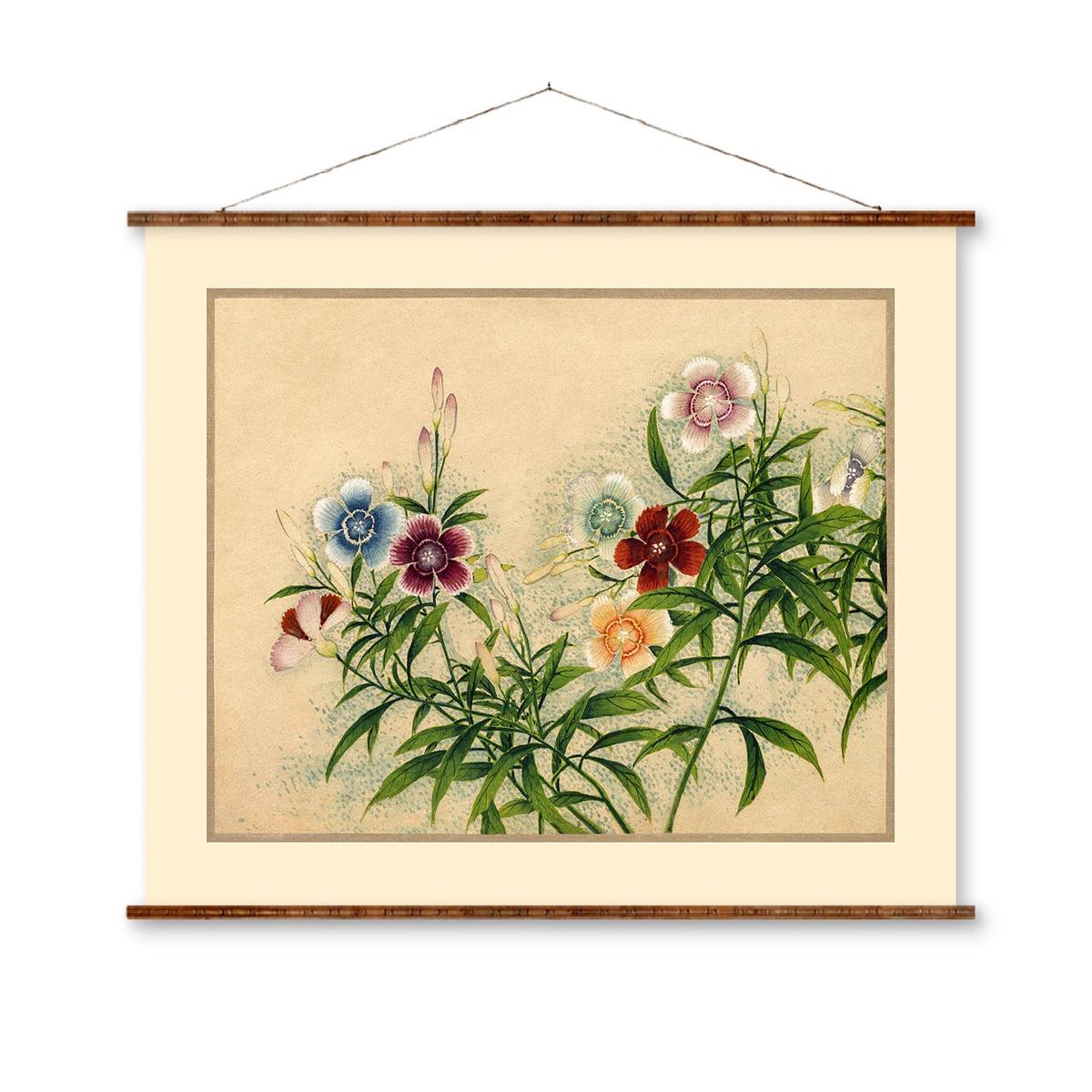 18th Century Flower Art - Pink Flower Illustration | Ready To Hang Canvas Scroll