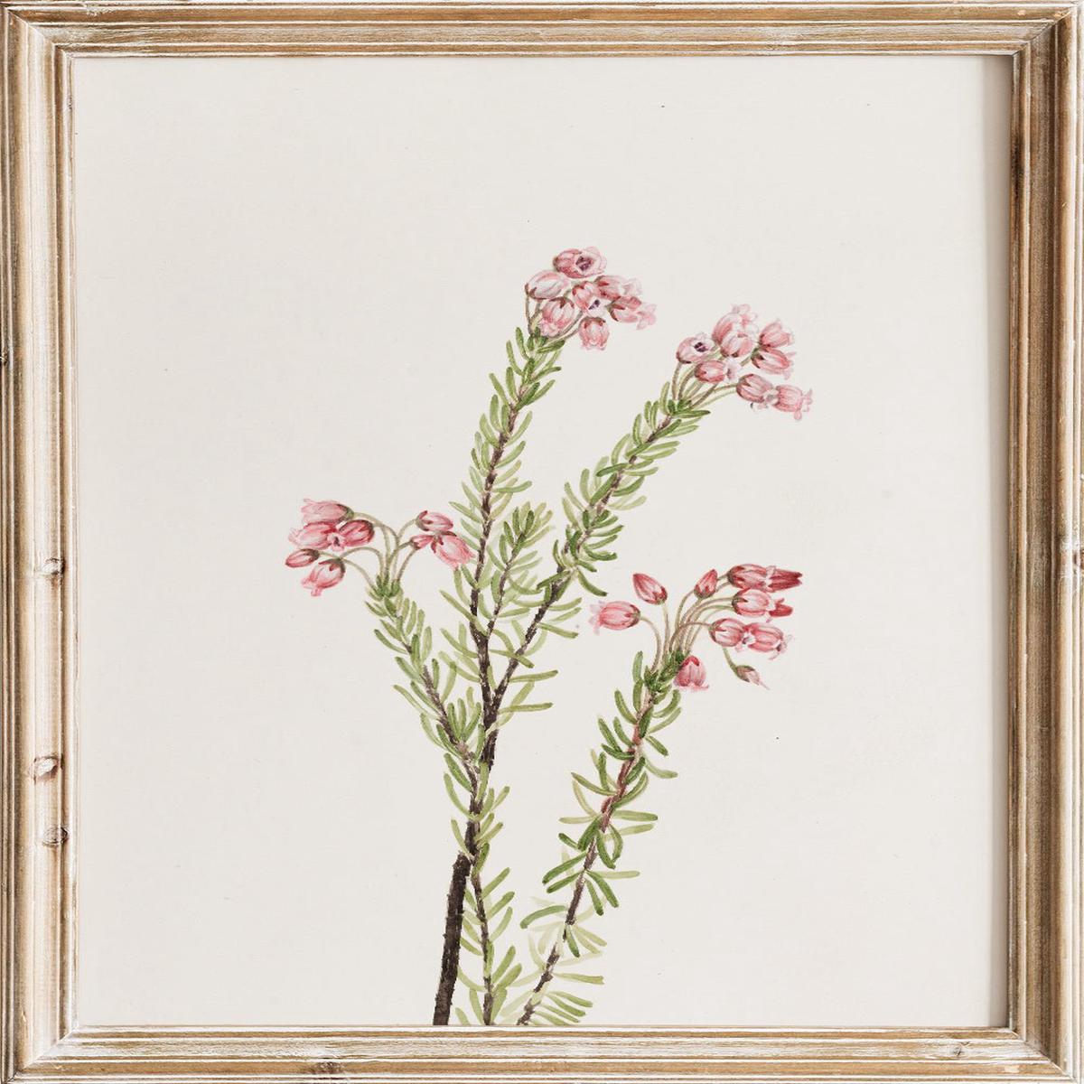 "Pink Mountain Heather" Art Print