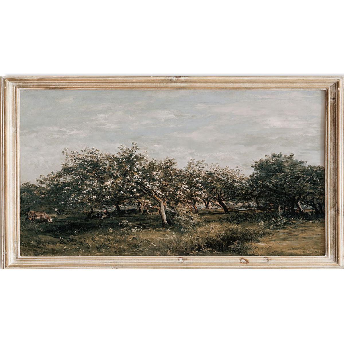 "Apple Blossoms" Art Print