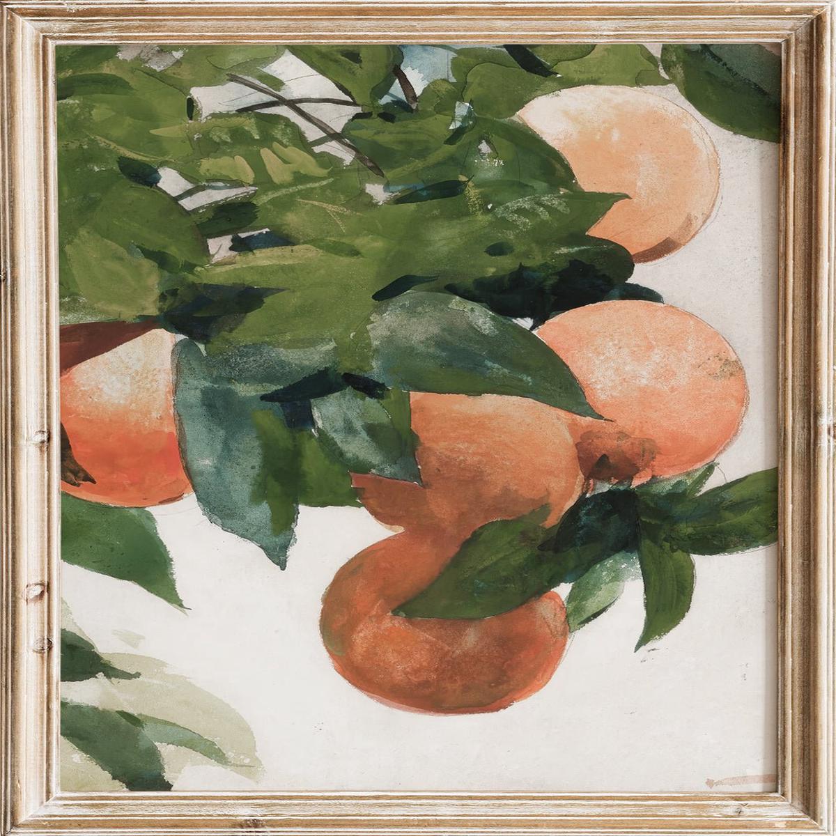 "Oranges on a Branch" Art Print