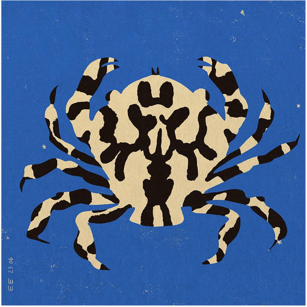 70x70cm Calico Crab poster - The Poster Club