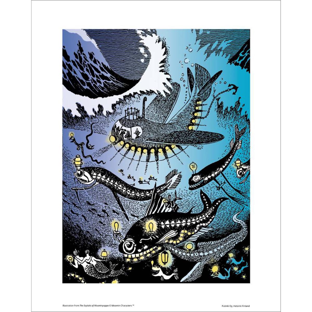 Amfibi Poster 24x30