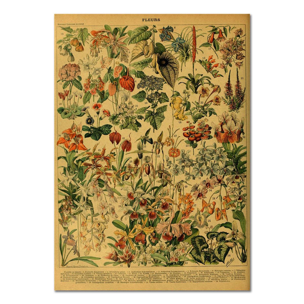 Yeknu Flowers Vintage Kraft Paper Poster