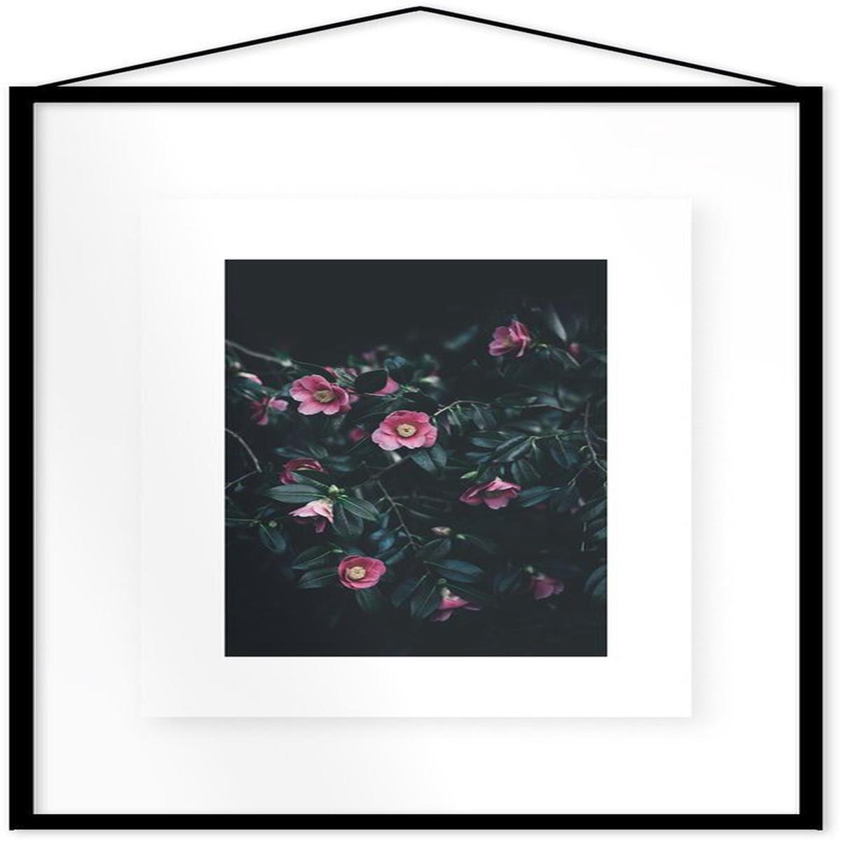 Affiche Flowers encadre Moebe noir A2 - Le Renard