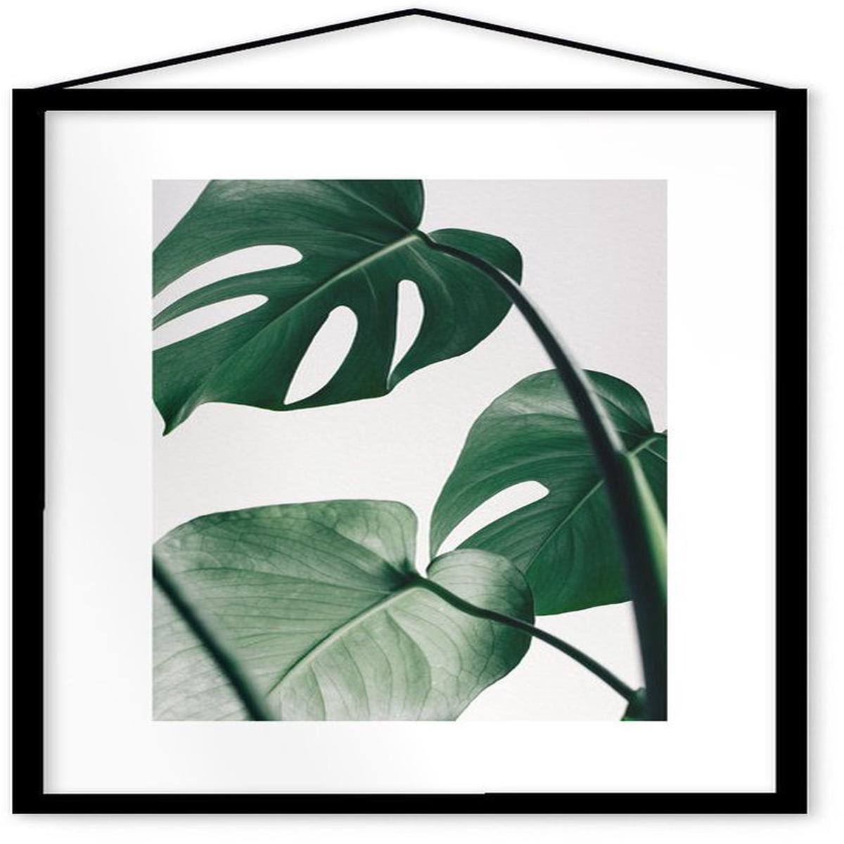 Affiche Monstera encadre Moebe noir A3 - Le Renard