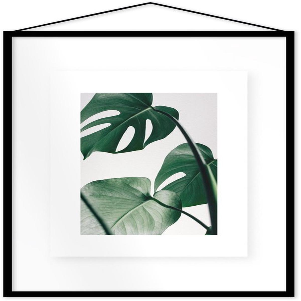 Affiche Monstera encadre Moebe noir A2 - Le Renard