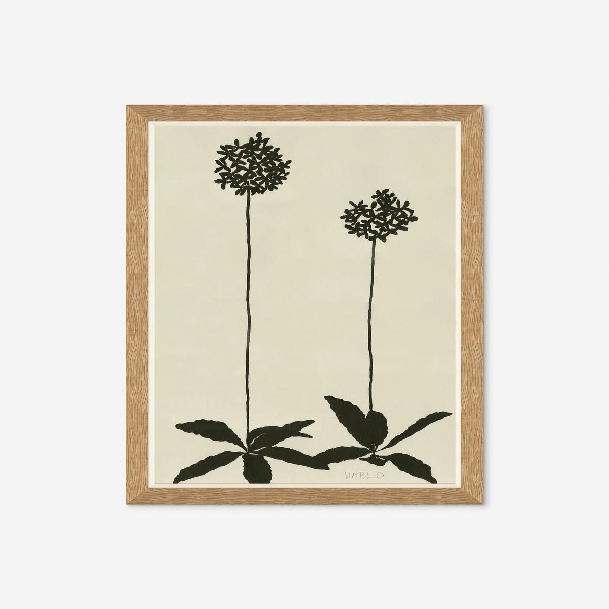 Allium By Susan Hable