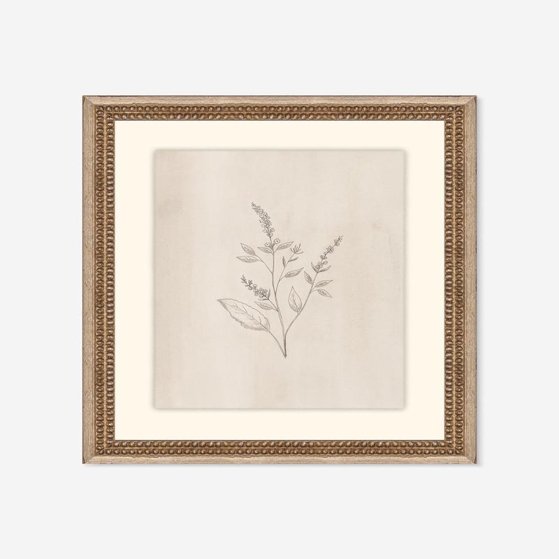 Elegant Botanical VI Wall Art by Makai Howell 14 x 17