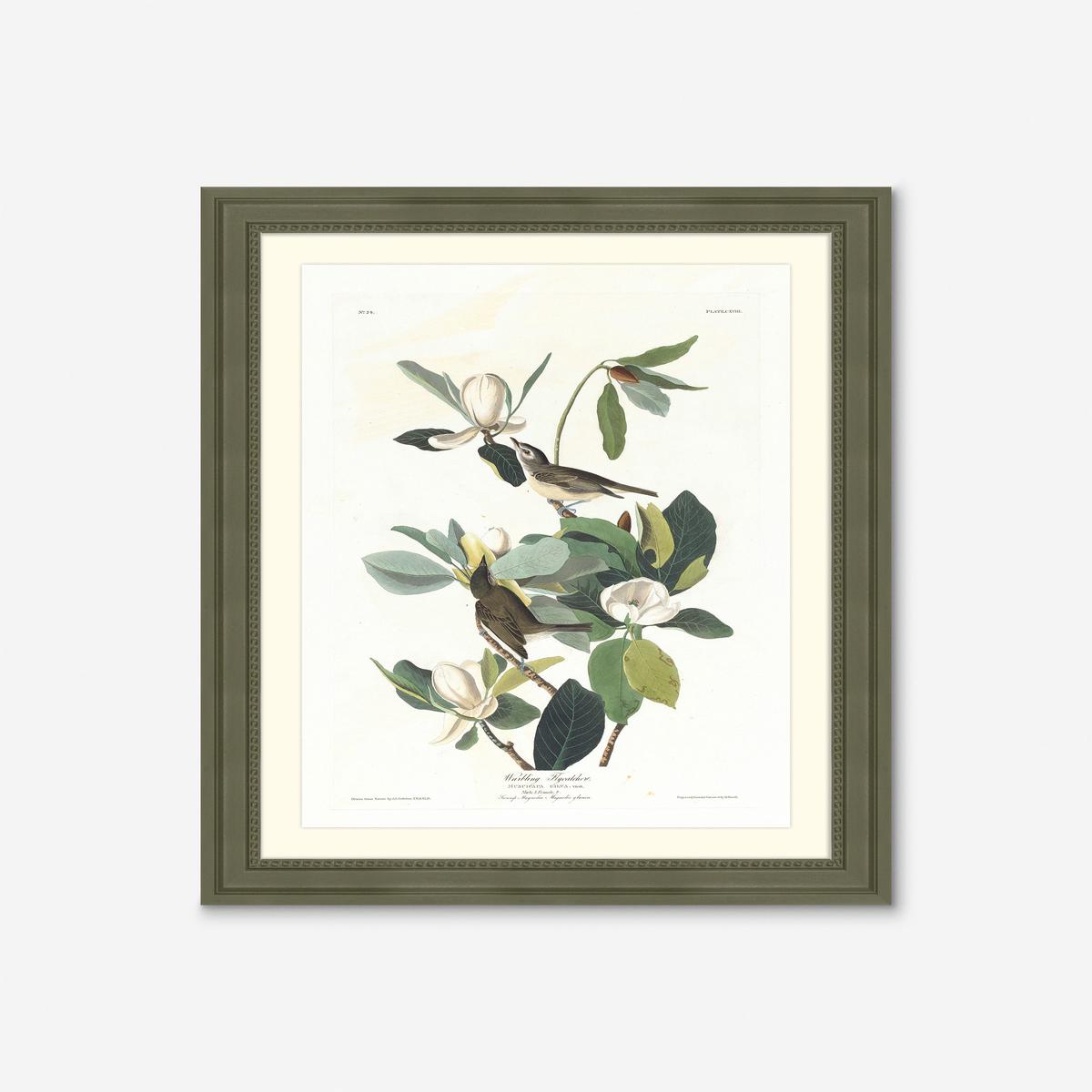 Wings of the Wild II Wall Art by Alex Zane